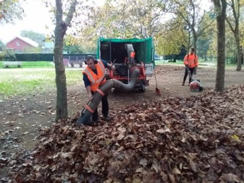 Ramassage et évacuation de feuilles à Mâcon 